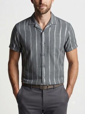 Elliot Pierce Men's Gray Striped Short Sleeve Button-Down Shirt – Size Small